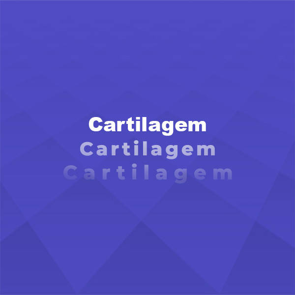 Cartilagem